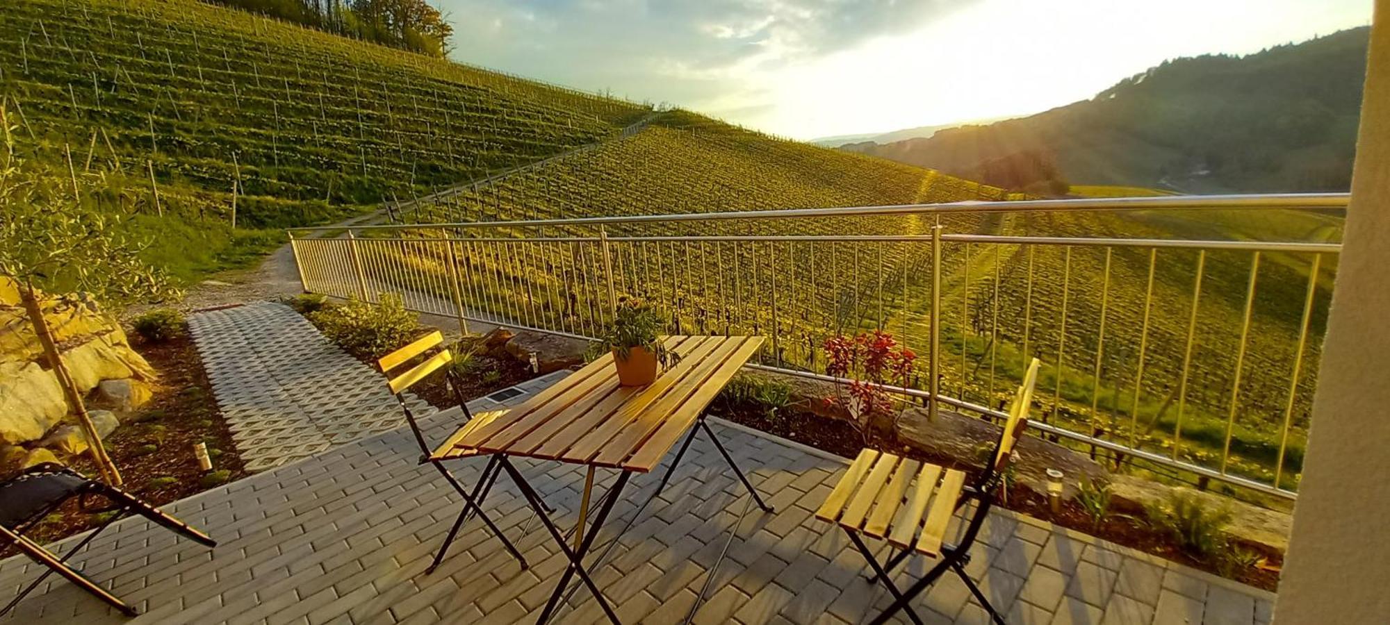 Schwarzwaldglueck Apartment Oberkirch  Luaran gambar