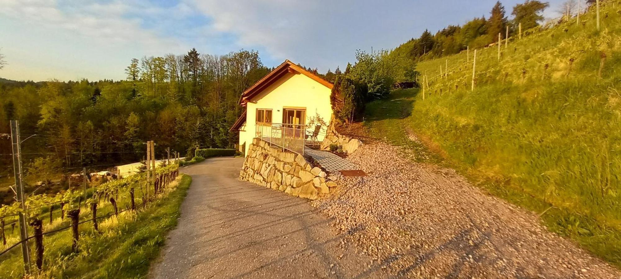Schwarzwaldglueck Apartment Oberkirch  Luaran gambar